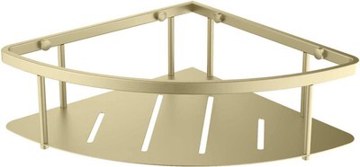 Полка для ванной Aquatek AQ4926BG - фото