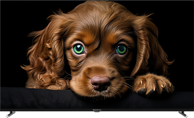 Телевизор Topdevice 55