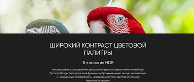 Телевизор Topdevice 55