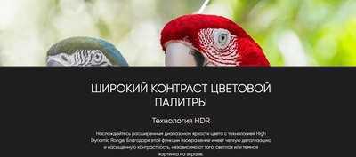 Телевизор Topdevice 55