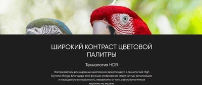 Телевизор Topdevice 55