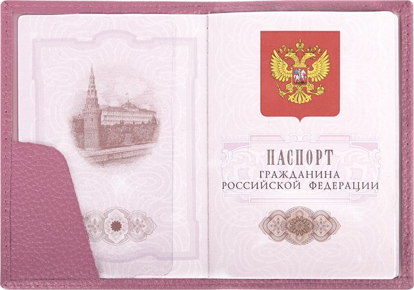 Обложка на паспорт Brauberg 238861