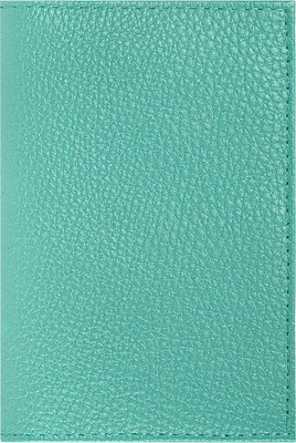 Обложка на паспорт Brauberg 238862 - фото