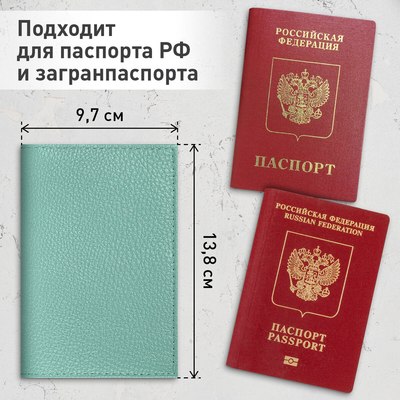 Обложка на паспорт Brauberg 238862