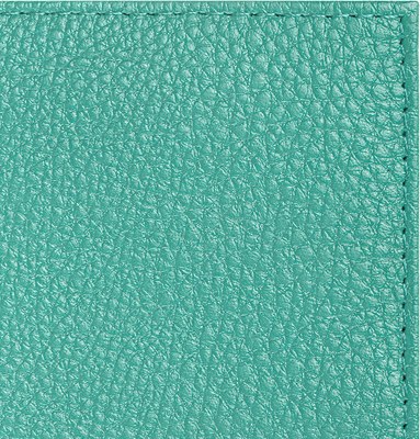 Обложка на паспорт Brauberg 238862