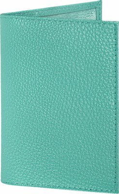 Обложка на паспорт Brauberg 238862