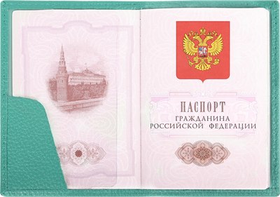 Обложка на паспорт Brauberg 238862