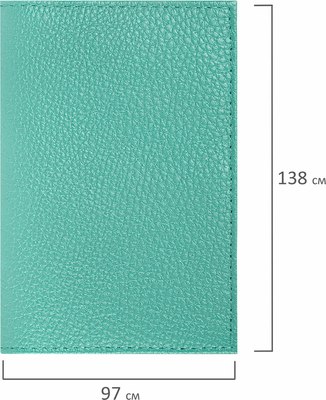 Обложка на паспорт Brauberg 238862