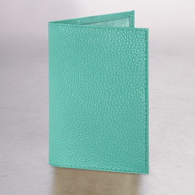 Обложка на паспорт Brauberg 238862