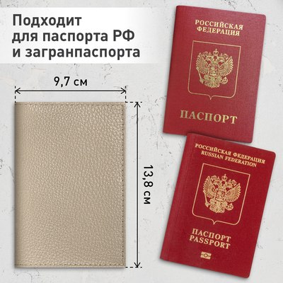 Обложка на паспорт Brauberg 238863