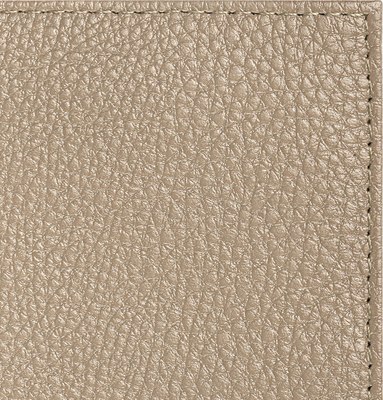 Обложка на паспорт Brauberg 238863