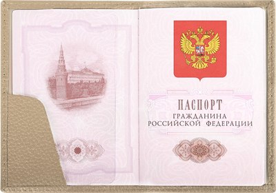 Обложка на паспорт Brauberg 238863