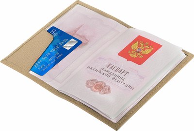 Обложка на паспорт Brauberg 238863