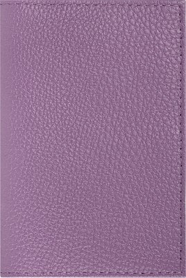 Обложка на паспорт Brauberg 238864 - фото