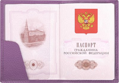 Обложка на паспорт Brauberg 238864