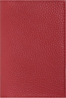 Обложка на паспорт Brauberg 238865 - фото