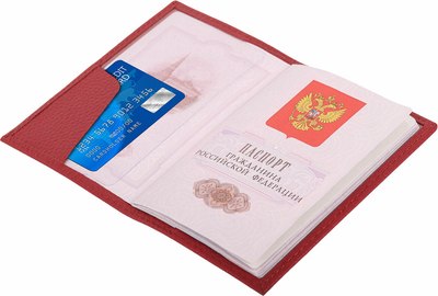 Обложка на паспорт Brauberg 238865