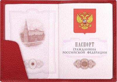 Обложка на паспорт Brauberg 238865