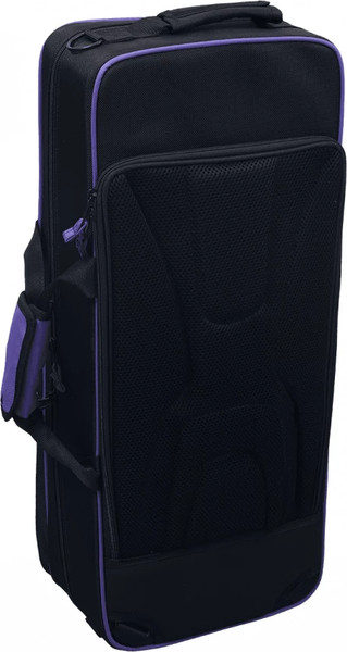 Саксофон SML Paris A620-II