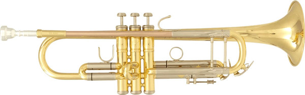 Труба SML Paris TP500 - фото