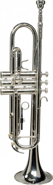 Труба SML Paris TP500S