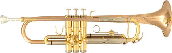 Труба SML Paris TP600 - фото