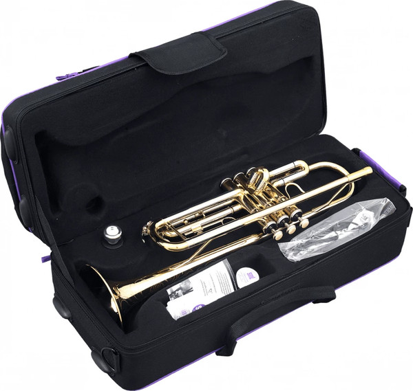 Труба SML Paris TP600