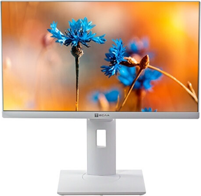 Моноблок Тесла P24WP / 2108500