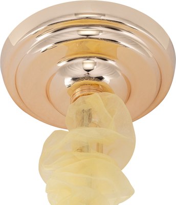 Люстра Citilux Naiad CL315192