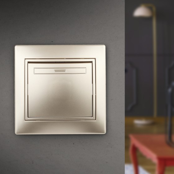 Выключатель INTRO Plano 1-101-04 / Б0053724