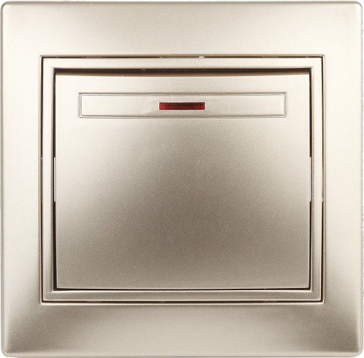 Выключатель INTRO Plano 1-102-04 / Б0053732 - фото