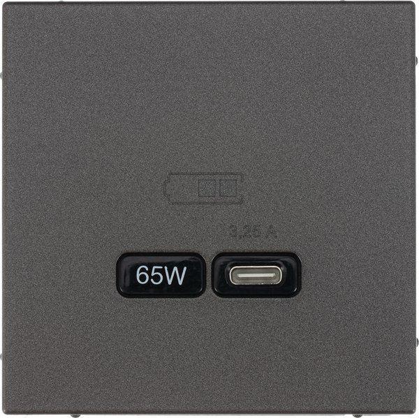 Розетка Systeme (Schneider) Electric ArtGallery GAL000627 - фото