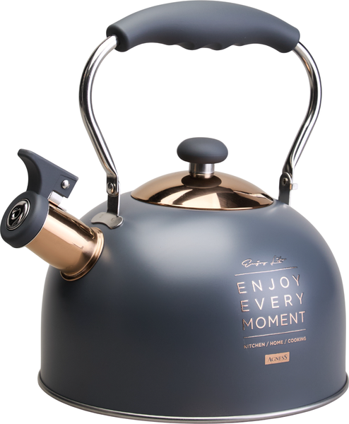 Чайник со свистком Agness 914-161 - фото