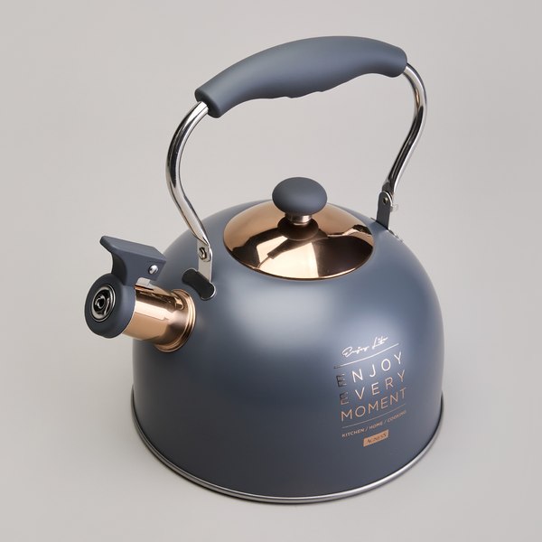 Чайник со свистком Agness 914-161