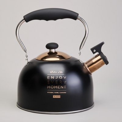 Чайник со свистком Agness 914-162