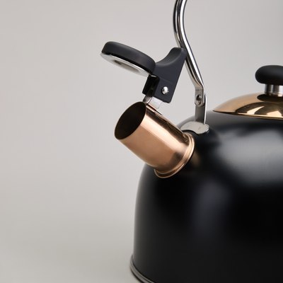 Чайник со свистком Agness 914-162