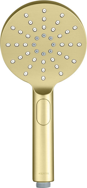 Лейка ручного душа Aquatek Оберон AQ2006BG