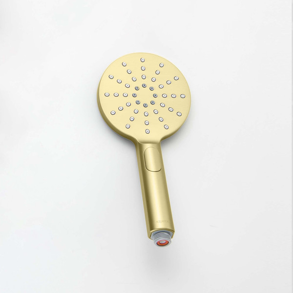 Лейка ручного душа Aquatek Оберон AQ2006BG