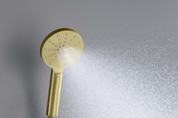 Лейка ручного душа Aquatek Оберон AQ2006BG