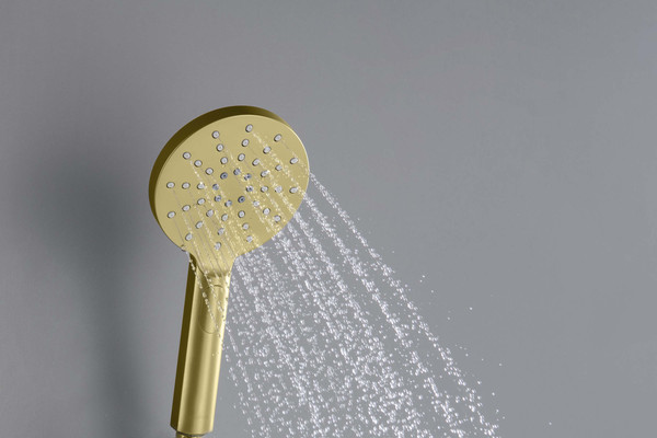 Лейка ручного душа Aquatek Оберон AQ2006BG