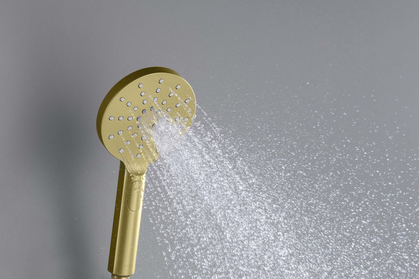 Лейка ручного душа Aquatek Оберон AQ2006BG