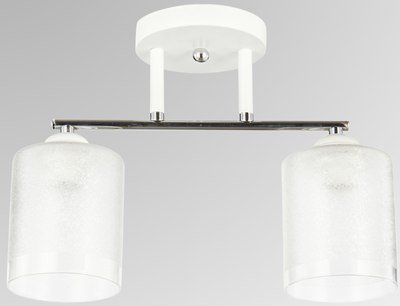 Потолочный светильник Aitin-Pro НПБ 02-2x60-101 / 6196/2 - фото