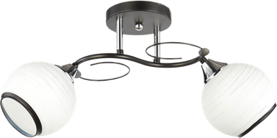 Потолочный светильник Aitin-Pro НПБ 02-2x60-101 / 6215/2 - фото