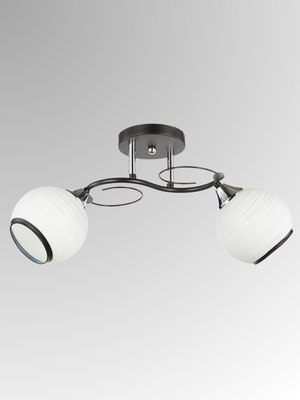 Потолочный светильник Aitin-Pro НПБ 02-2x60-101 / 6215/2