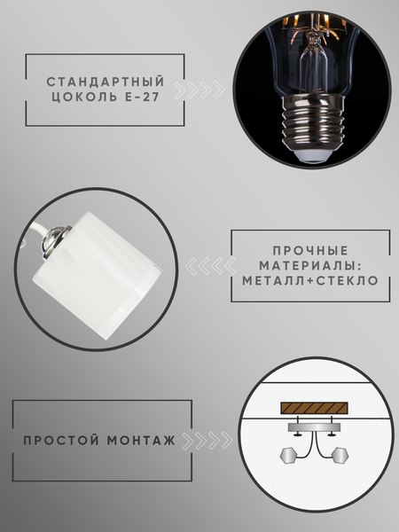 Потолочный светильник Aitin-Pro НПБ 02-2x60-101 / 6222/2