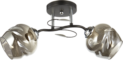 Потолочный светильник Aitin-Pro НПБ 02-2x60-101/ 6227/2 - фото