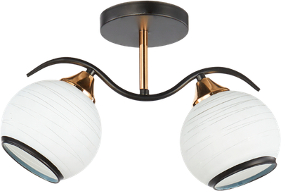 Светильник Aitin-Pro НПБ 02-2x60-101 / 6235/2 - фото