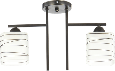 Потолочный светильник Aitin-Pro НПБ 02-2x60-101 / 6246/2 - фото