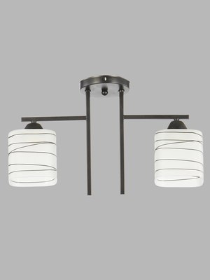 Потолочный светильник Aitin-Pro НПБ 02-2x60-101 / 6246/2