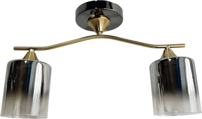 Потолочный светильник Aitin-Pro НПБ 02-2x60-102 / N6413/2 - фото